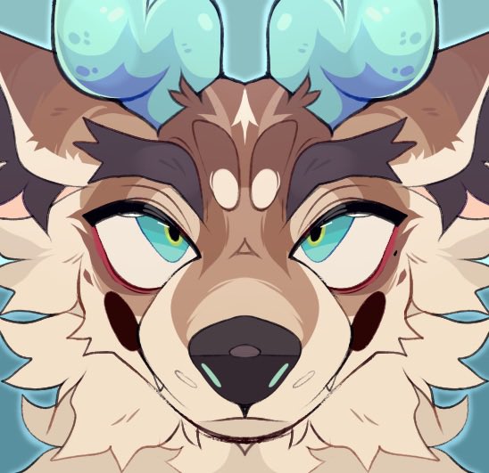 LOWCADII tweet media