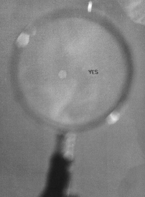 Mariana Stanley Smith tweet media