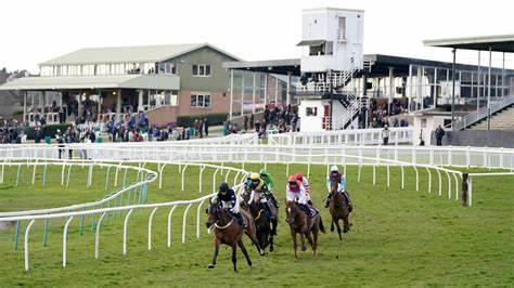 🐦Pigeon🐎Island🐦 tweet media