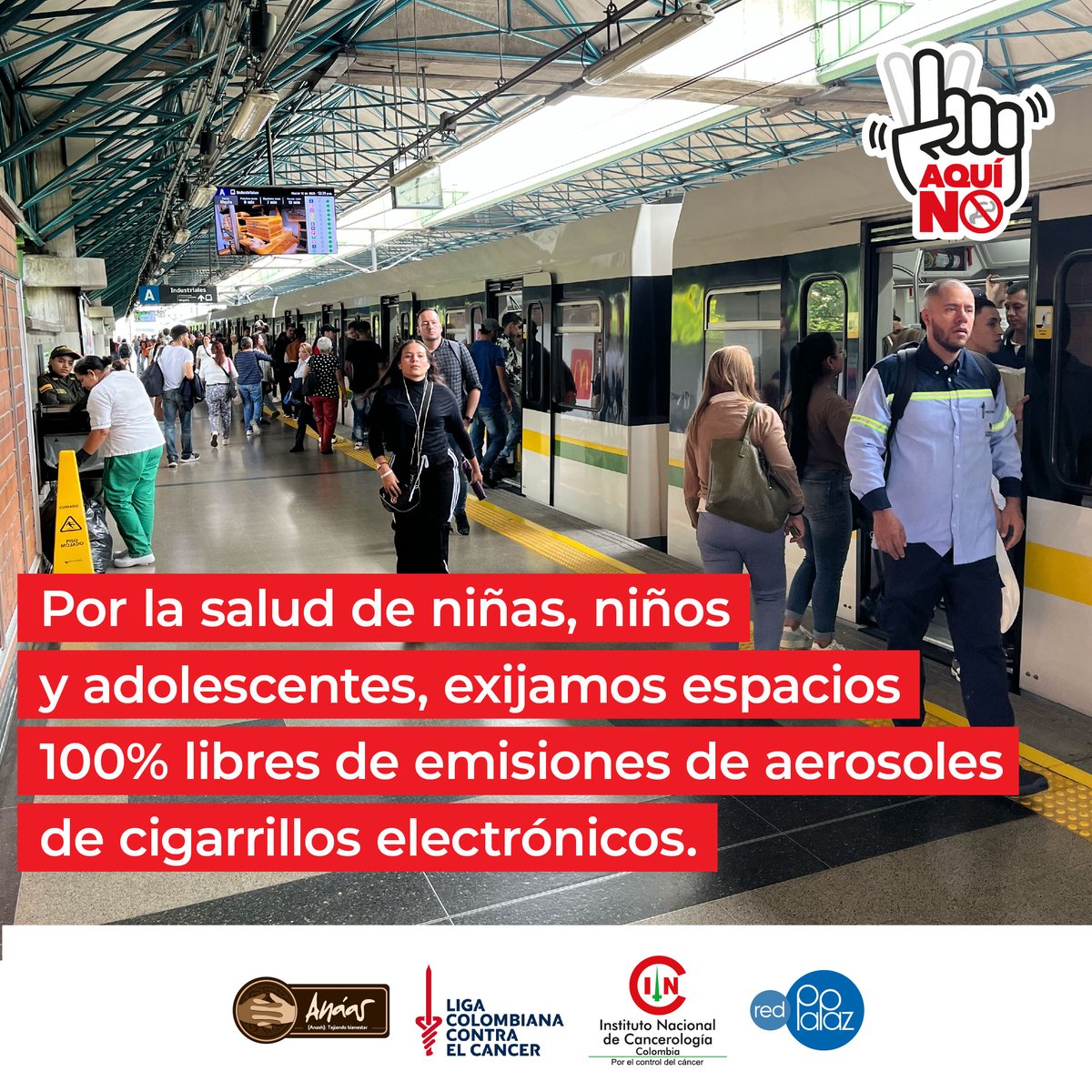 Red PaPaz tweet media