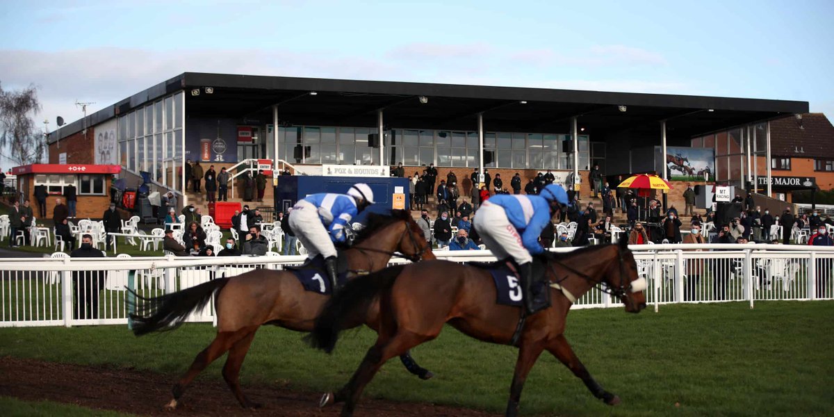 🐦Pigeon🐎Island🐦 tweet media