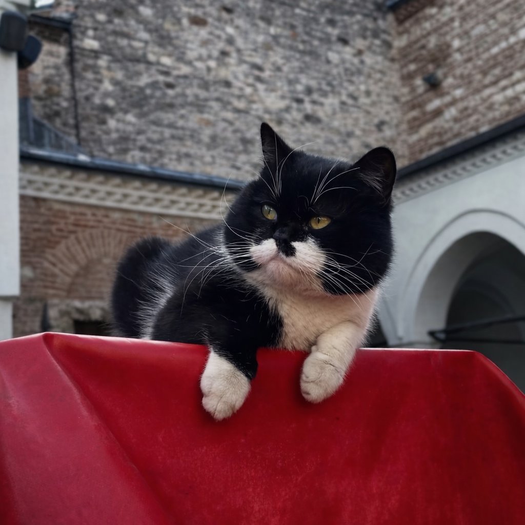 Pusholder tweet media