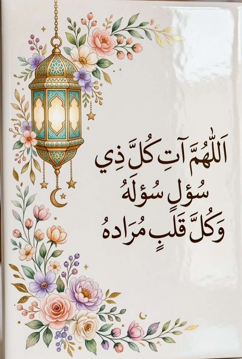 امل 🦋 tweet media