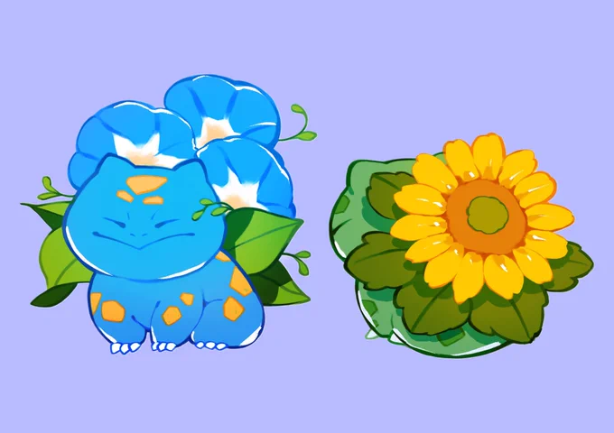 morning glory and sunflower bulbas