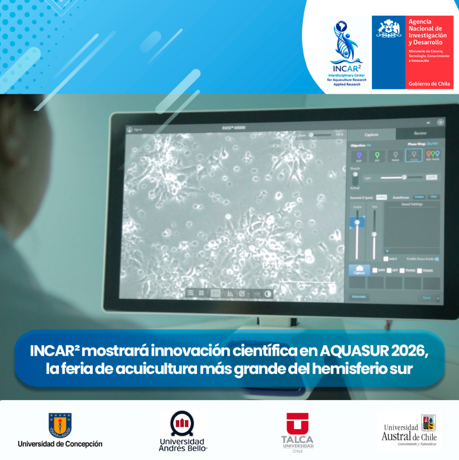 Incar Chile tweet media