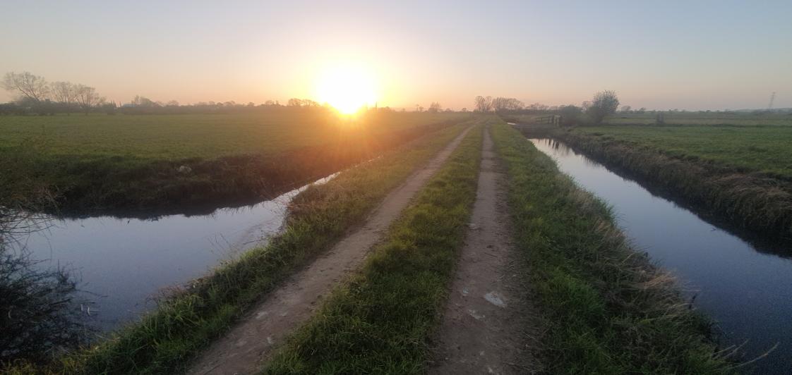 Carl Bovis tweet media