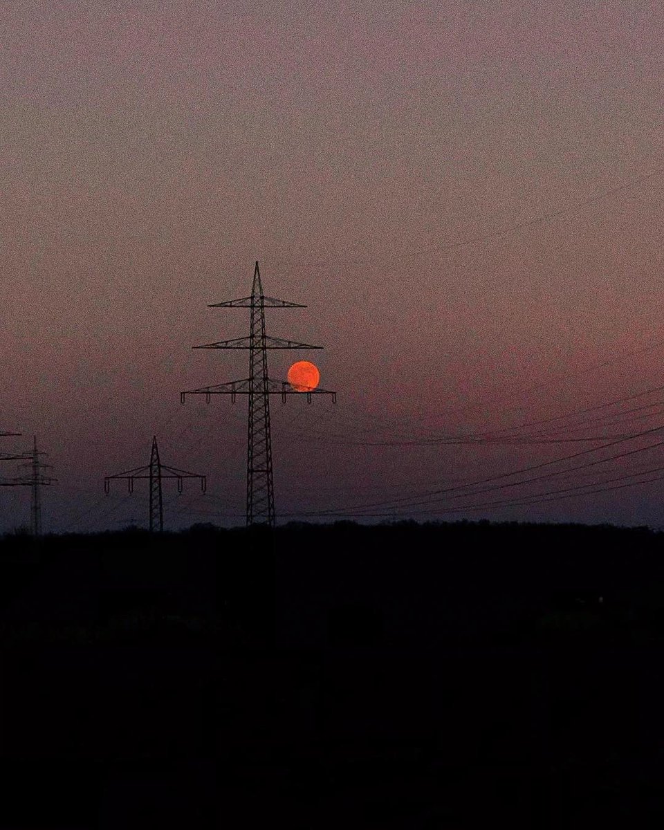 simp 4 satoshi tweet media