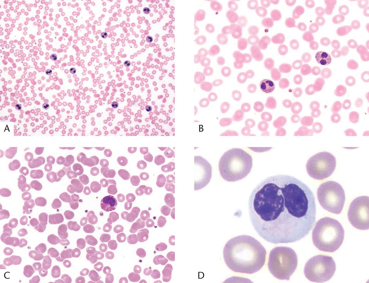 ARP Press tweet media