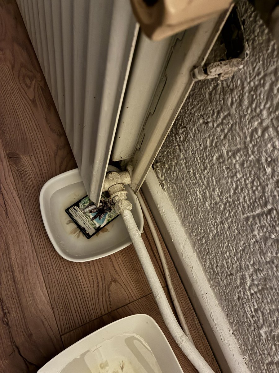 Henkie the GOAT tweet media