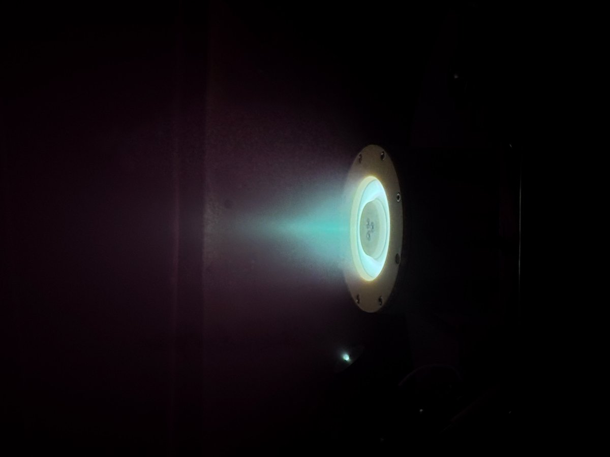 Halen Mattison tweet media