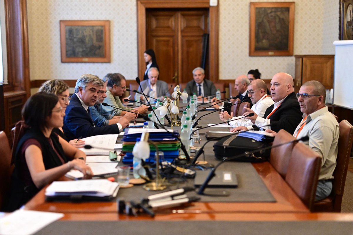 Carlos Daniel Camy tweet media