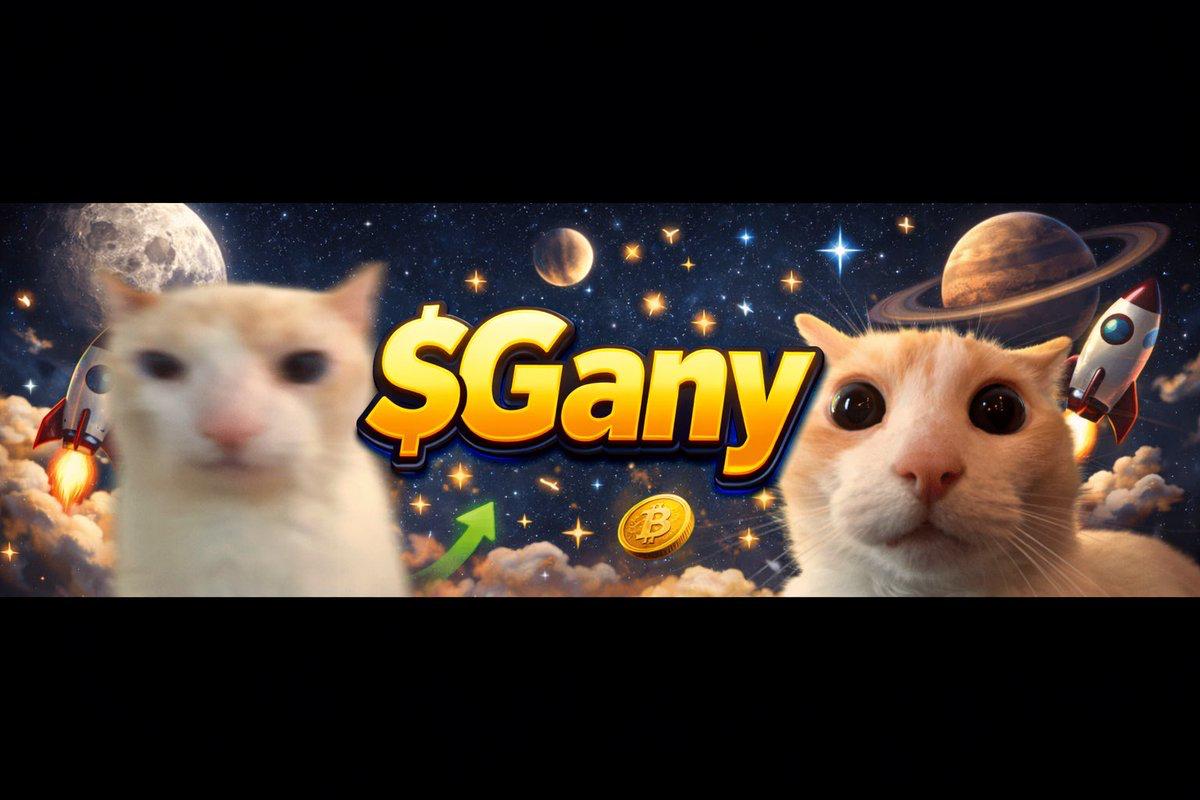 HimmyTimmyDevs tweet media