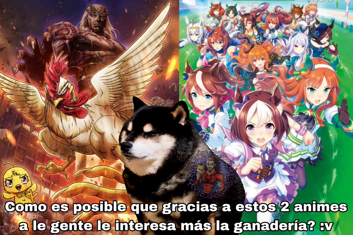 Dandy Daniels - Experto en Cheems :v tweet media