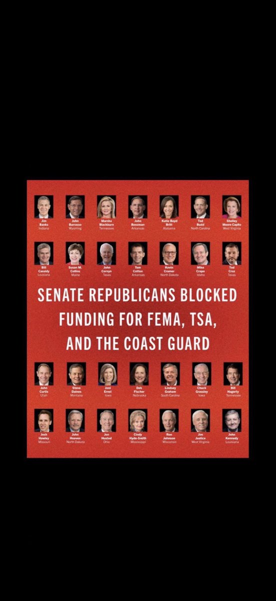 Donna 💙💙 tweet media