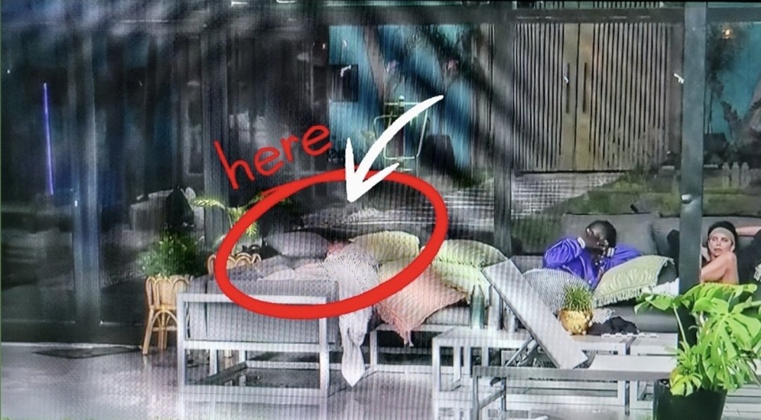 mar65_'s tweet image. #Daniela y #Mavinga charlando y comentando que le irrita y #Eduardo se hacia el dormido 😴 ESCUCHÓ TODO!
@GranHermanoAr @SANTIAGODELMORO @telefe