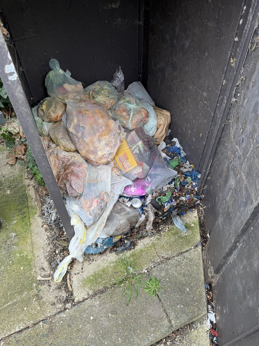 Daniel Gray tweet media