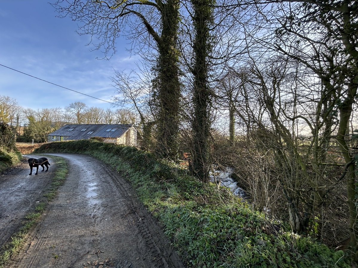 Lisl Macdonald FRSA tweet media