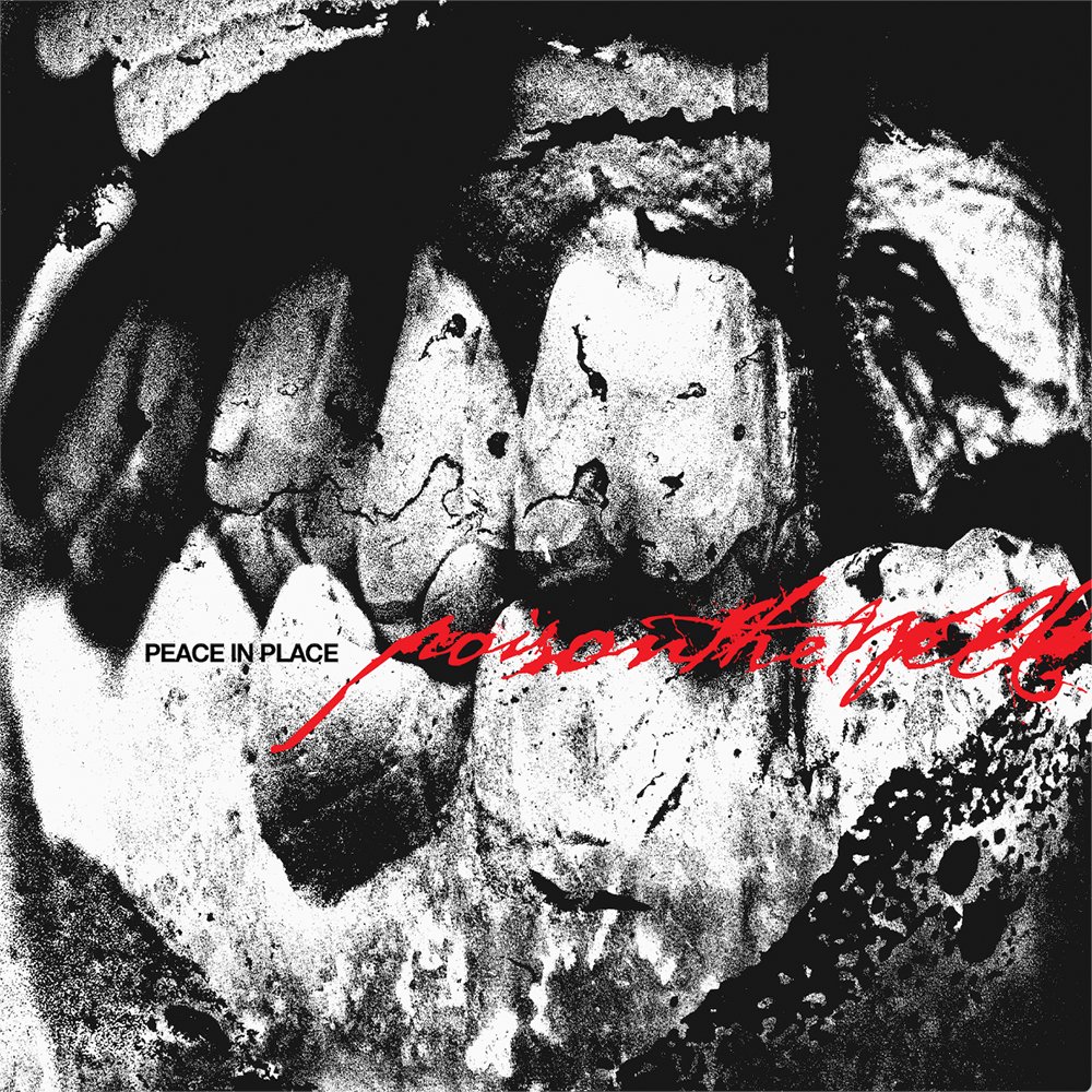 Distorted Sound tweet media