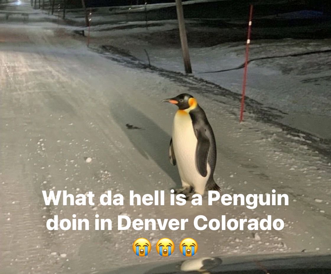 Carlos Aguayo tweet media