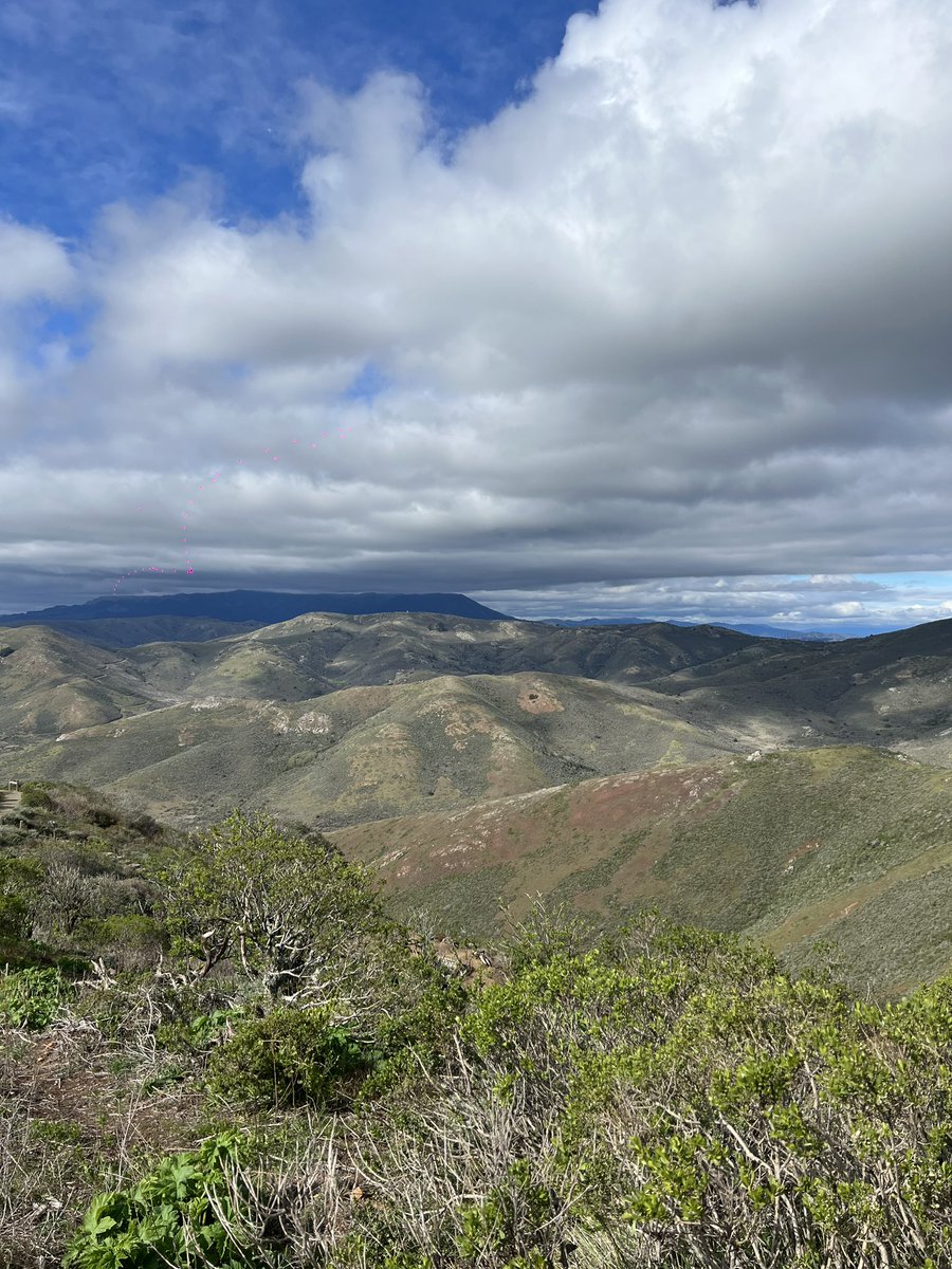 I’m back in SF.

Forgot how stunning it is.

Memories don’t do it justice.