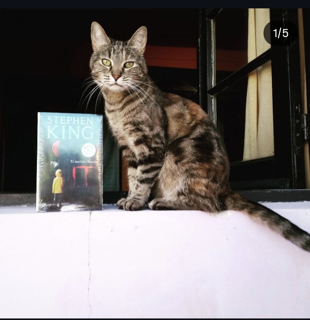 Víctor Rubén Igor tweet media