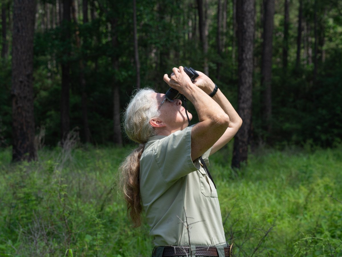 Texas A&M Forest Service tweet media