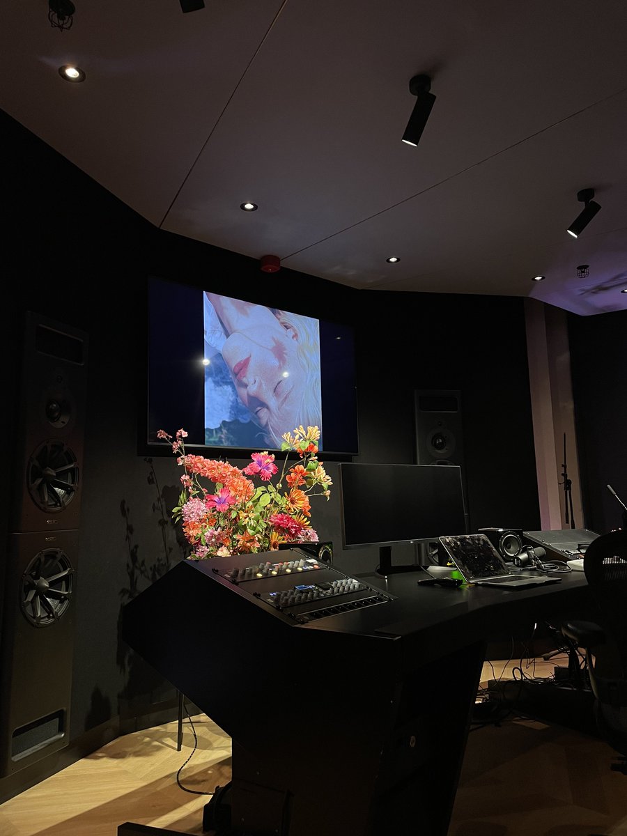 mal 🌱 tweet media