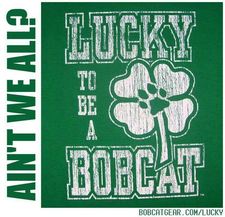 BobcatsDC's tweet photo. Happy St. Patrick's Day! https://t.co/cPZ2X7UScI