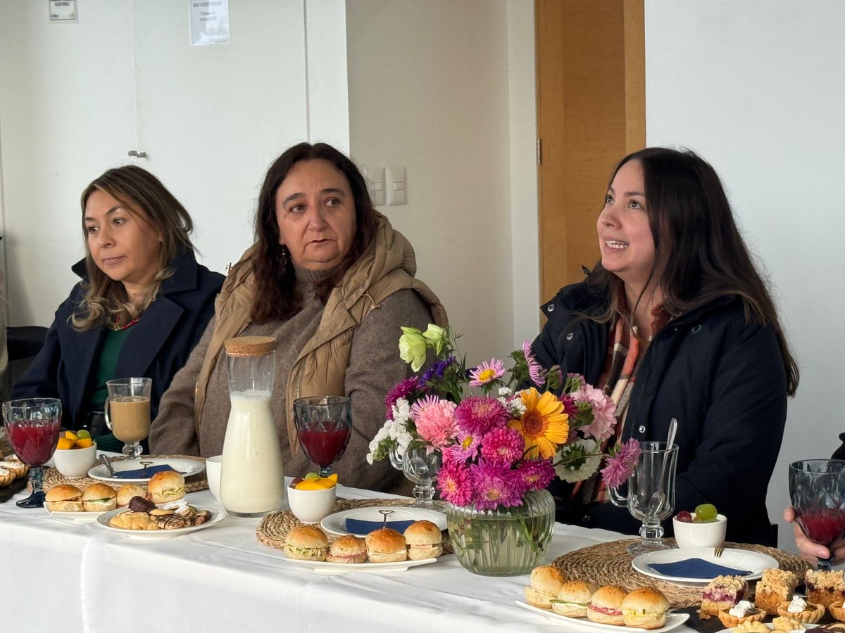 CChC Valdivia tweet media