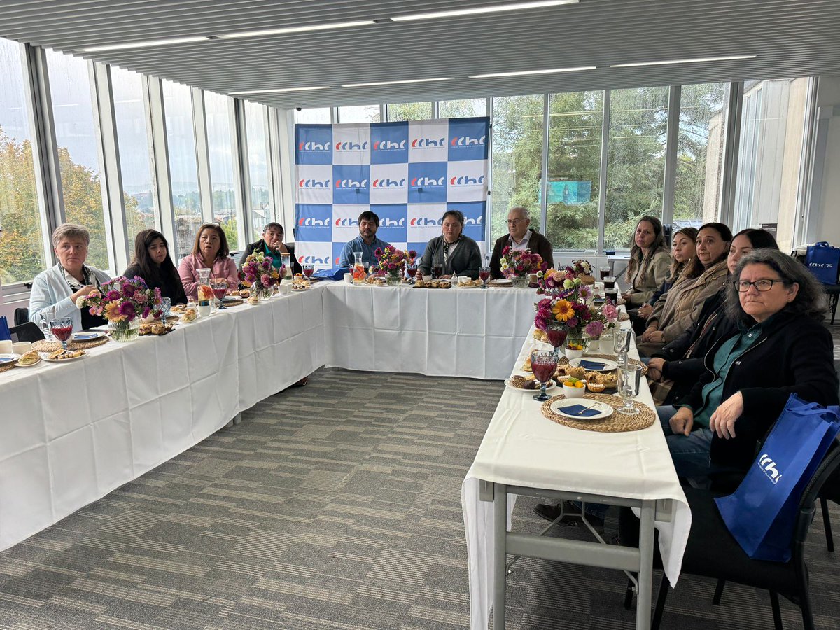 CChC Valdivia tweet media