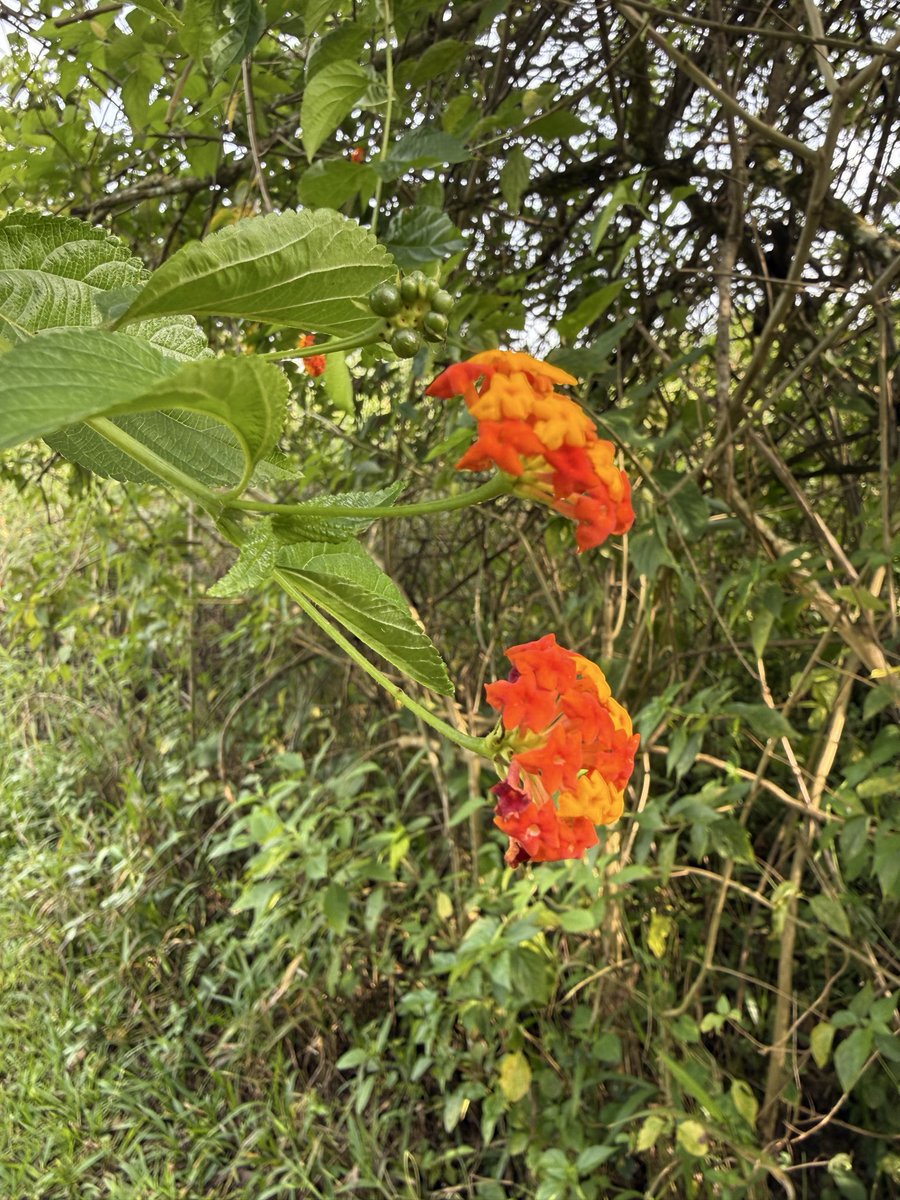 Dr Tom Crawford tweet media