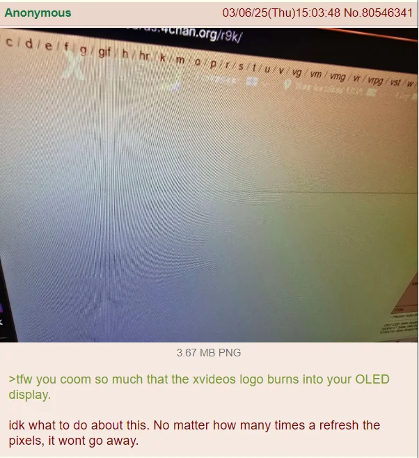 The 4Chan Archives tweet media