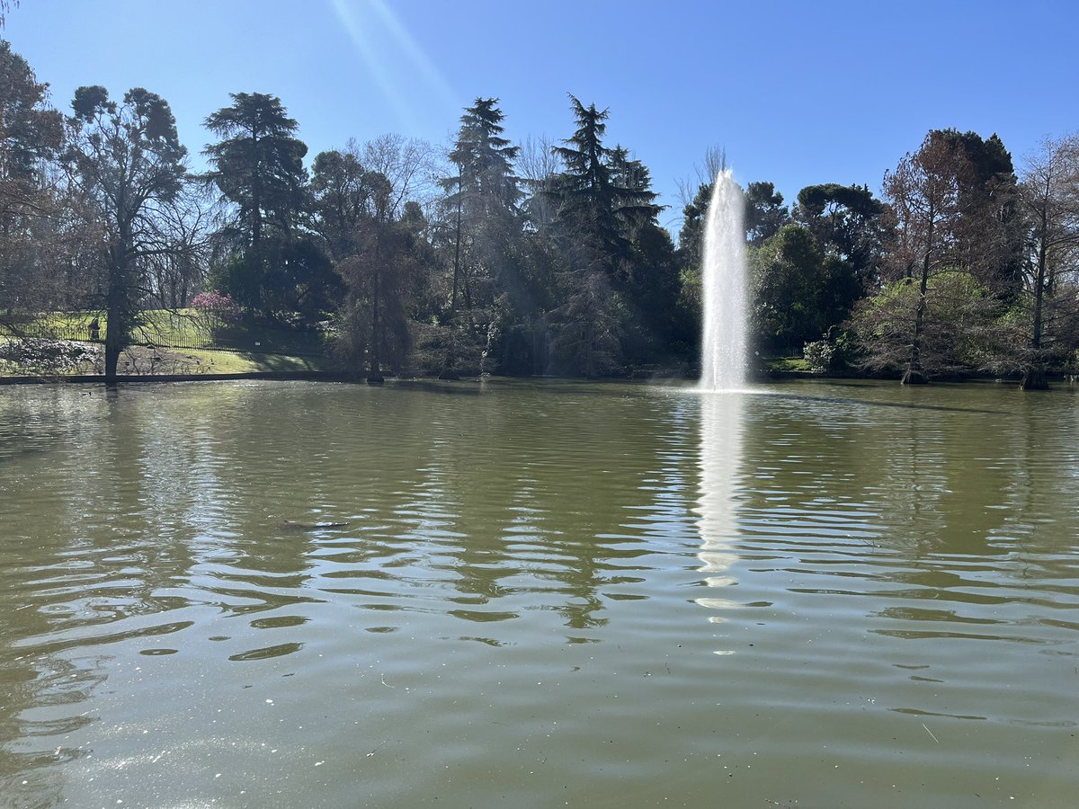 S. D. Tolson tweet media