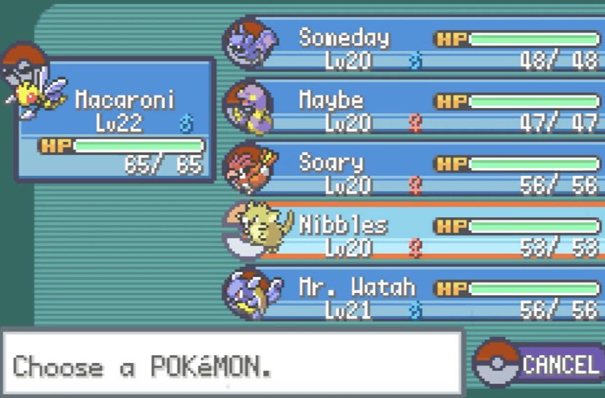 CoobTube tweet media