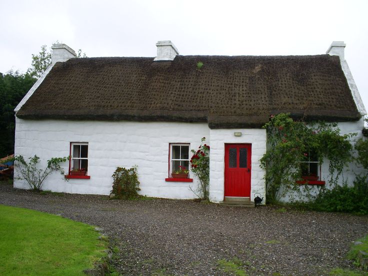 Nazifa📜🍉 tweet media