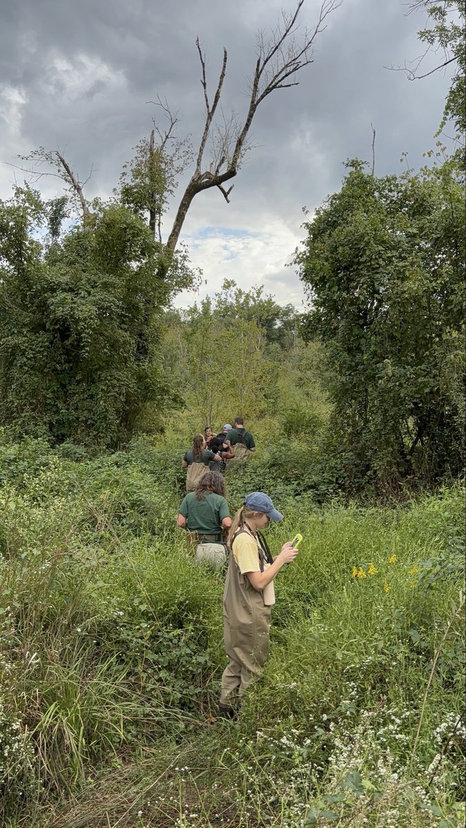 Raleigh_Water's tweet image. Want to discover the nature around you? 🌳 Sign up for our creek walk tomorrow evening! We will get up close and personal with the waters and critters that flow through our creeks. 🩵 Register here ➡️ publicinput.com/CN0428

#Raleigh #water #creekweek