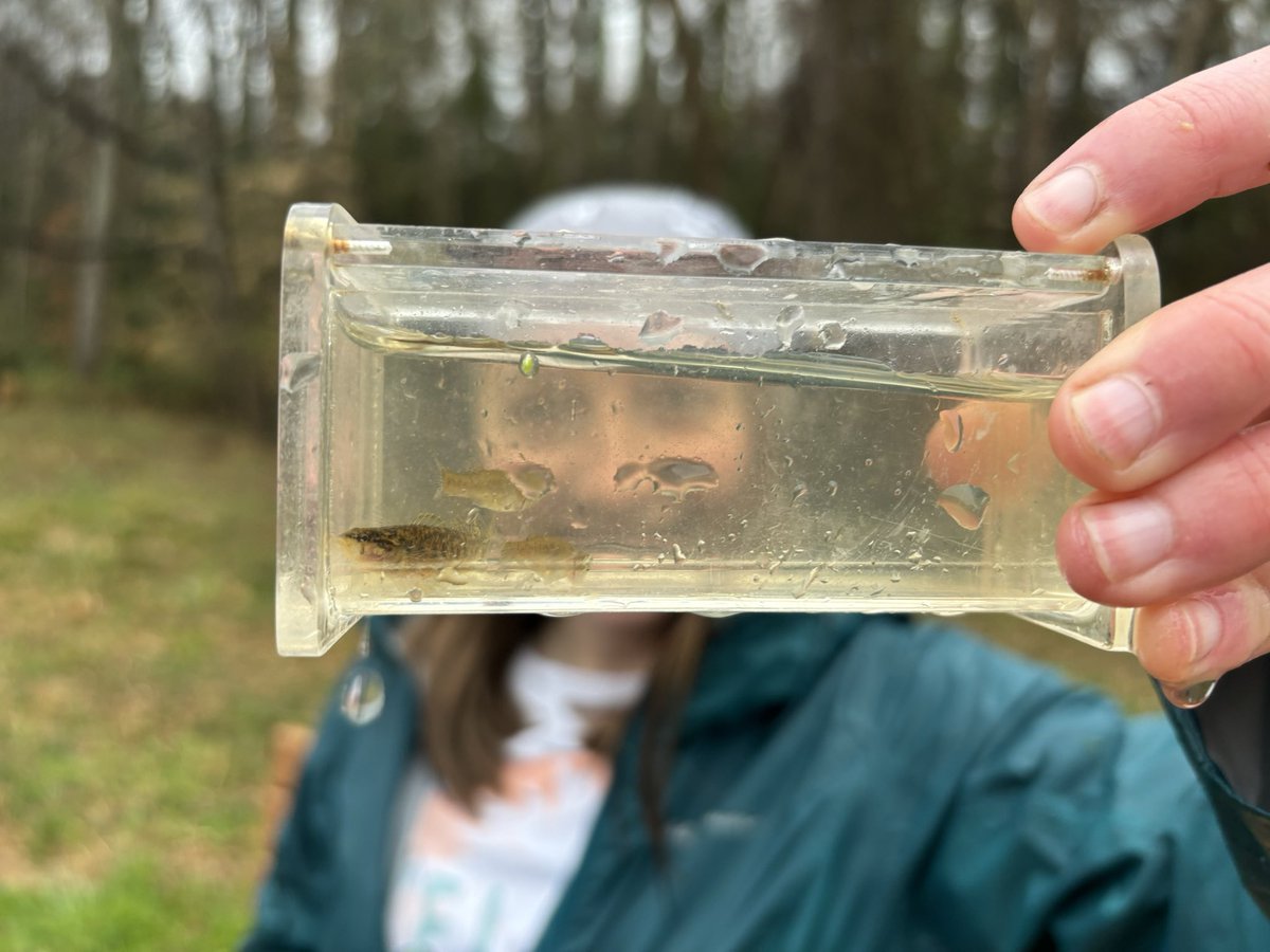 Raleigh_Water's tweet image. Want to discover the nature around you? 🌳 Sign up for our creek walk tomorrow evening! We will get up close and personal with the waters and critters that flow through our creeks. 🩵 Register here ➡️ publicinput.com/CN0428

#Raleigh #water #creekweek