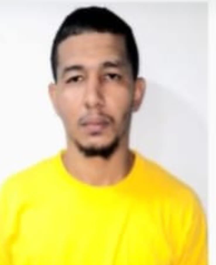 Noticias En Desarrollo tweet media