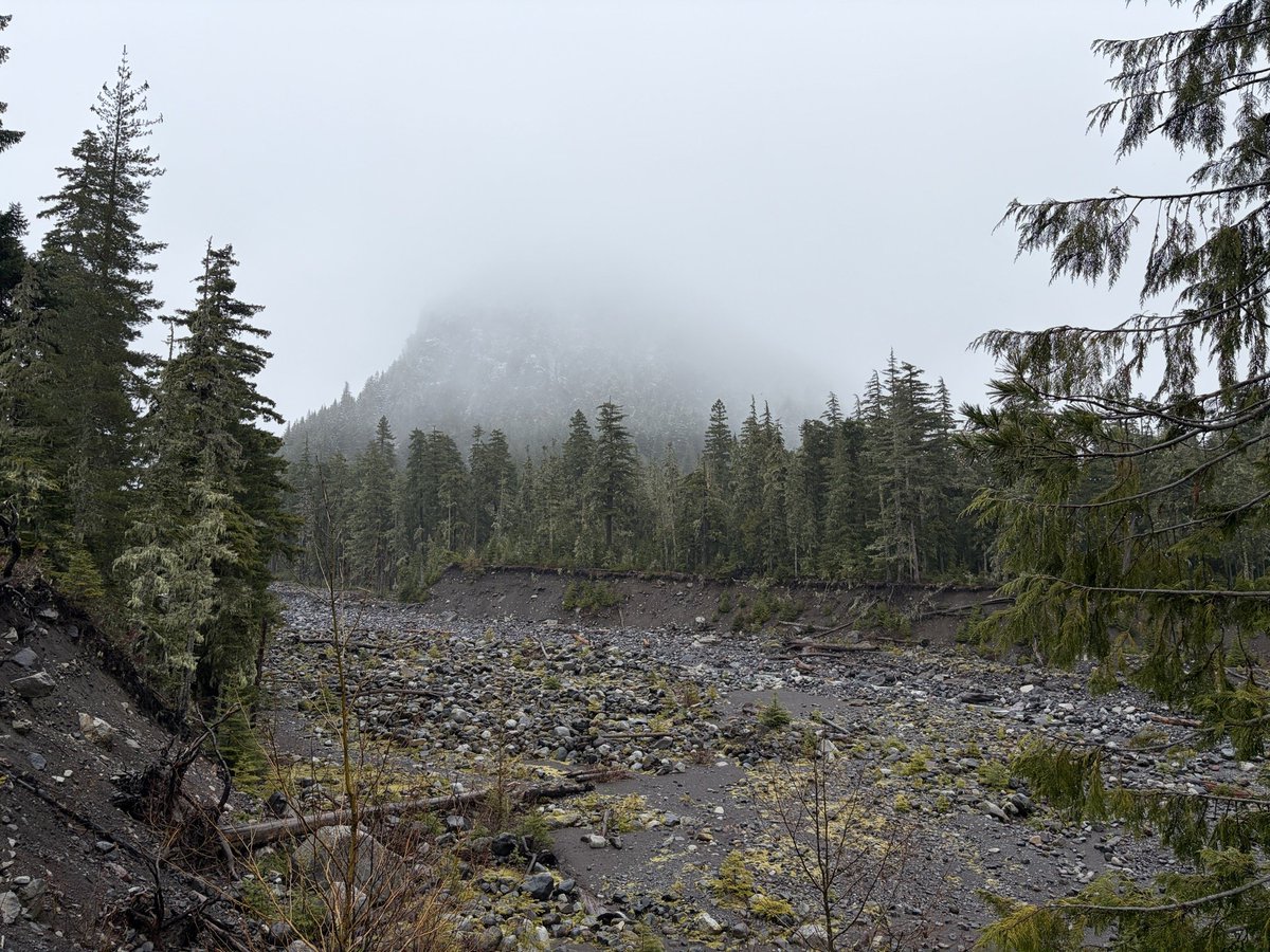 Joseph 💎✌️🪑🇺🇸 Tesla Long Term Investor tweet media