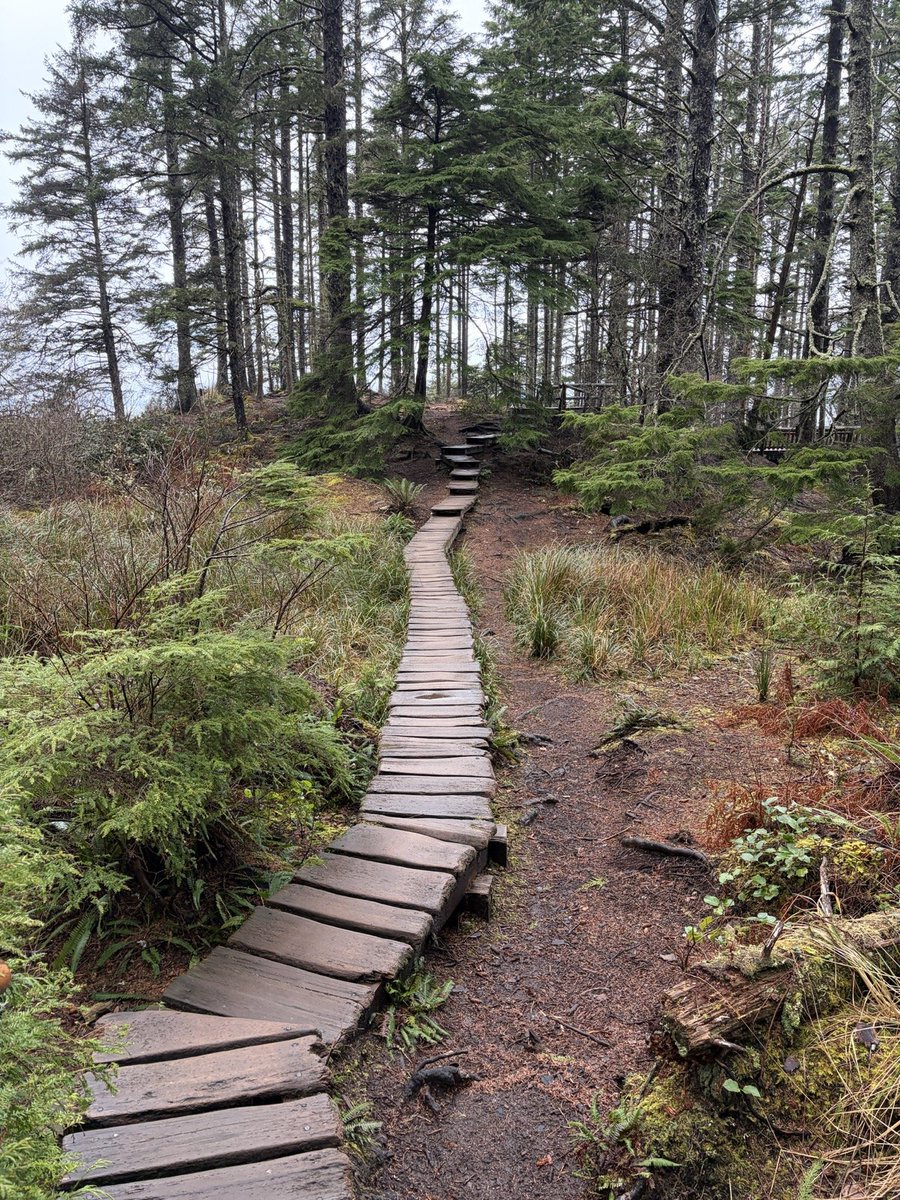 Joseph 💎✌️🪑🇺🇸 Tesla Long Term Investor tweet media