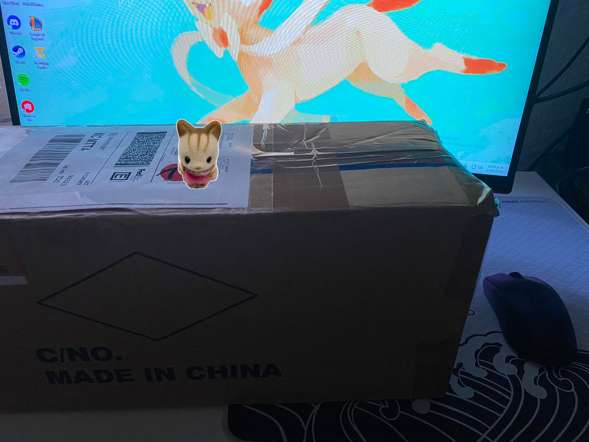 HYG k4it 🐰 tweet media