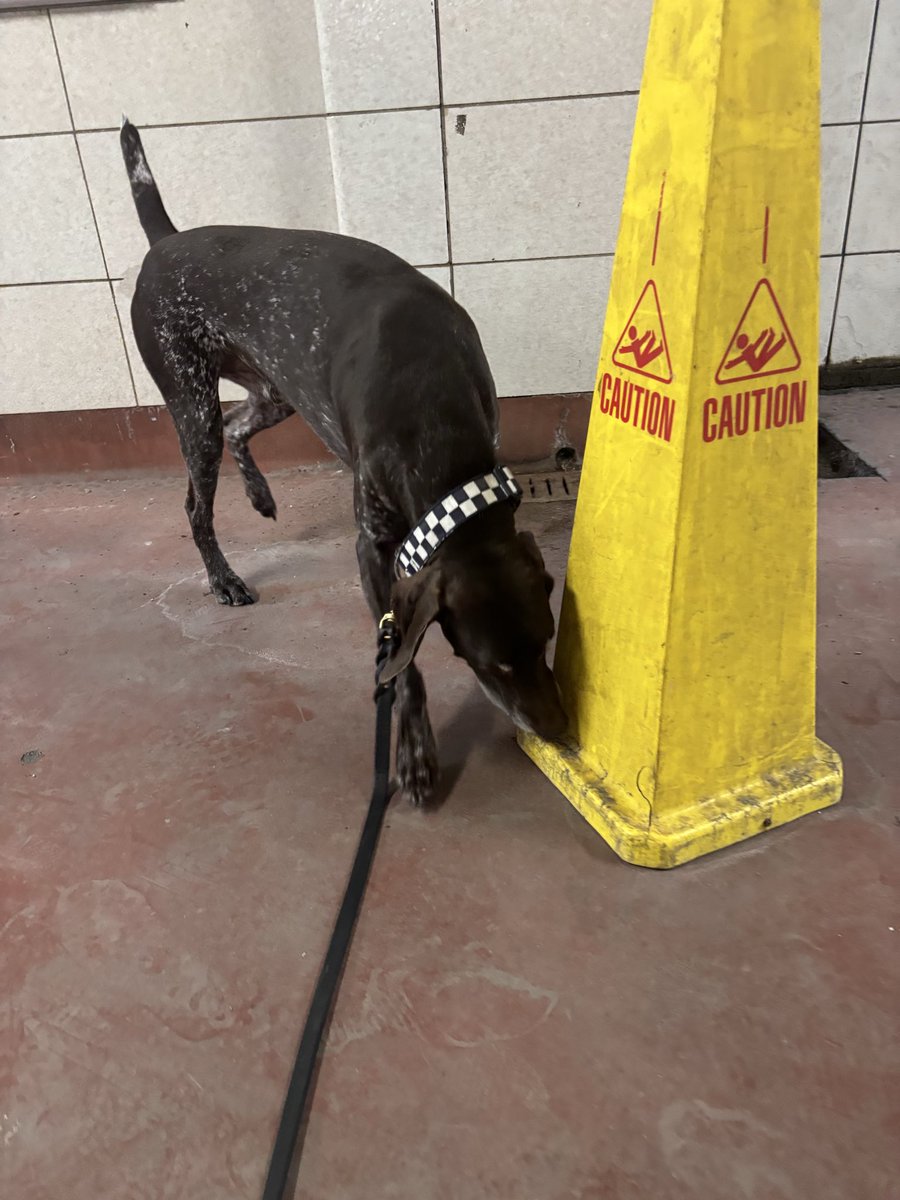 CPD_Transit tweet media