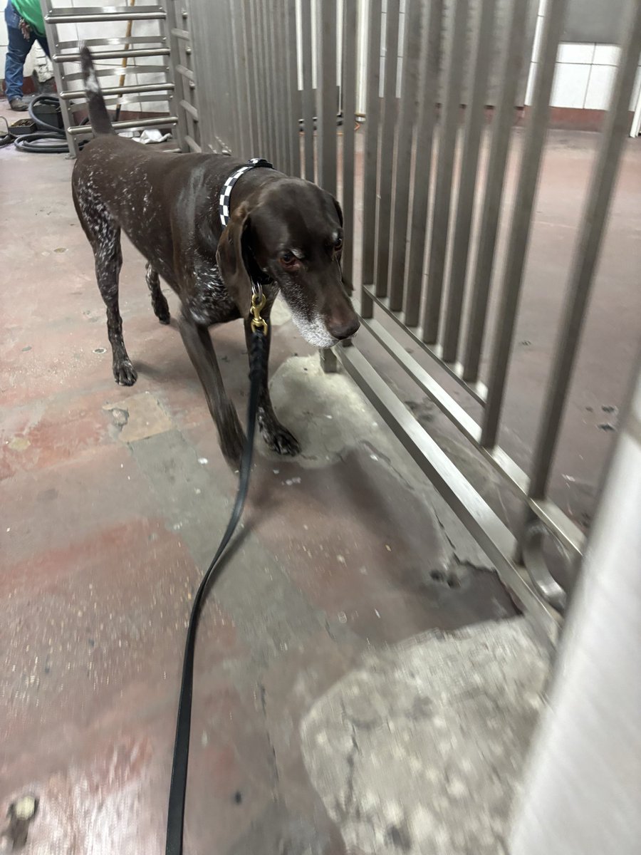 CPD_Transit tweet media