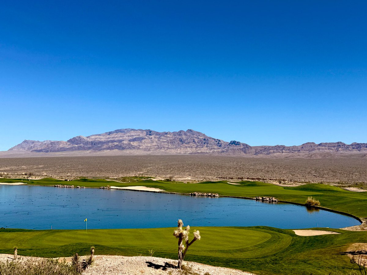 Castillo Trading tweet media