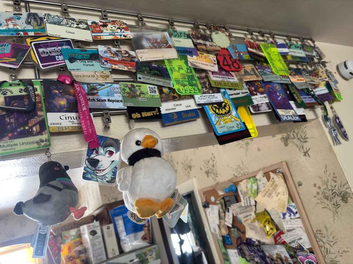 dirdwolf @ lvfc tweet media