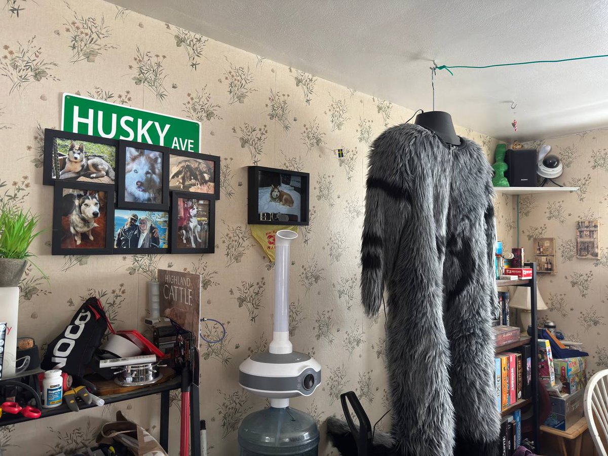 dirdwolf @ lvfc tweet media