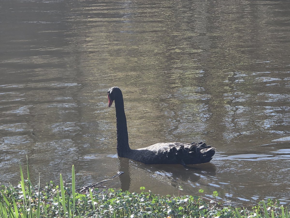 Jonathan D. Miller tweet media