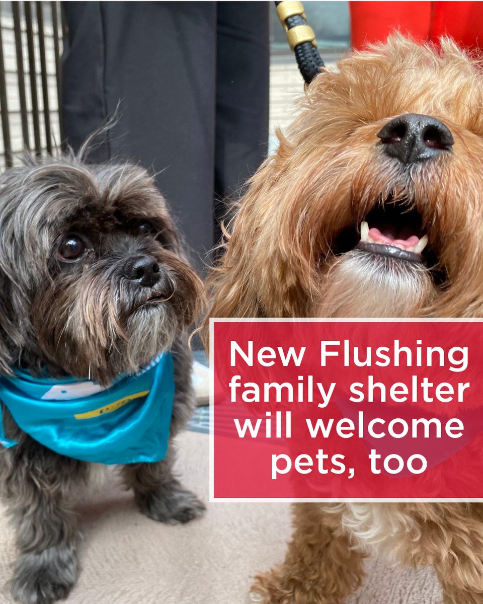 WNYC 🎙 tweet media