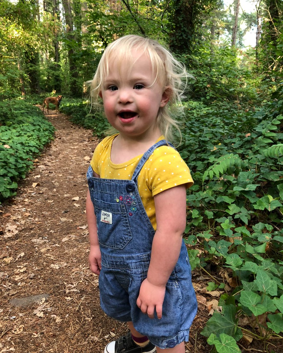 Global Down Syndrome Foundation tweet media