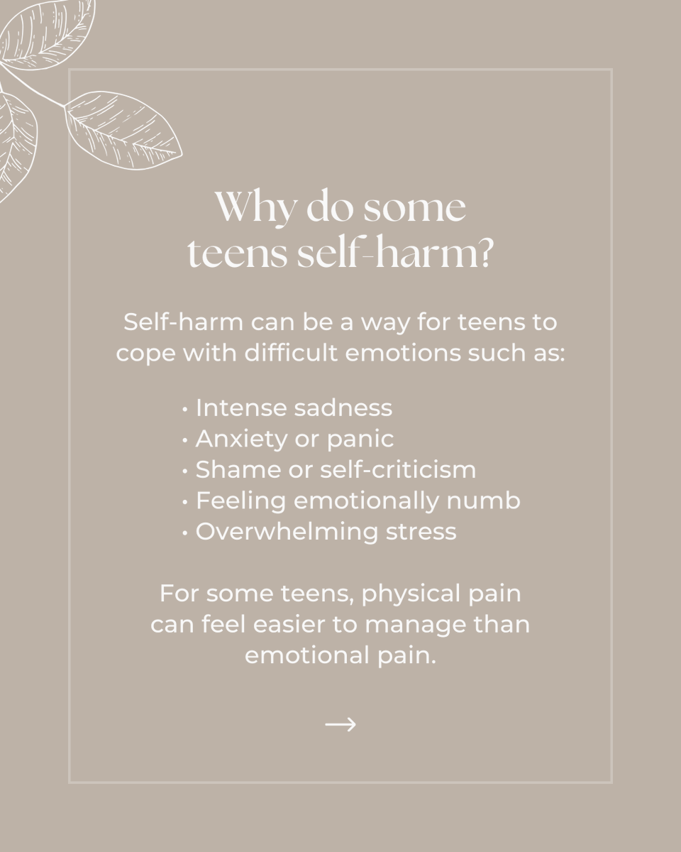 VISIONS TEEN tweet media